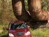 �������� - ���� 3
